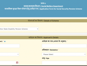 Bihar Viklang Pension Yojana Application Form